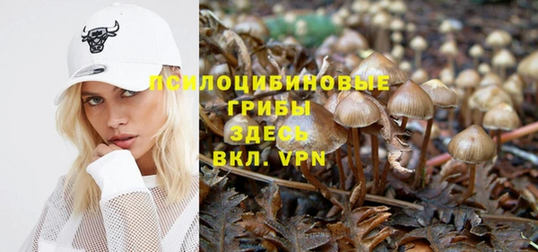 гашик Армянск