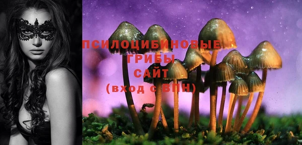 гашик Армянск