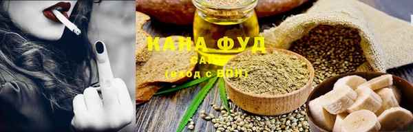 индика Костерёво